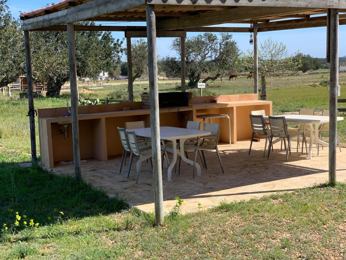 Mar I Montanya Formentera 2 Holiday home